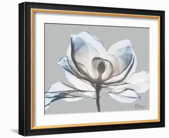 Glacier Dipped Magnolia 1-Albert Koetsier-Framed Art Print