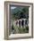 Glacier Express and Landwasser Viaduct, Filisur, Graubunden, Switzerland-Doug Pearson-Framed Photographic Print