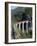 Glacier Express and Landwasser Viaduct, Filisur, Graubunden, Switzerland-Doug Pearson-Framed Photographic Print