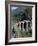 Glacier Express and Landwasser Viaduct, Filisur, Graubunden, Switzerland-Doug Pearson-Framed Photographic Print