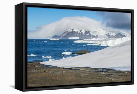 Glacier flowing in the ocean, Brown Bluff, Antarctica, Polar Regions-Michael Runkel-Framed Premier Image Canvas