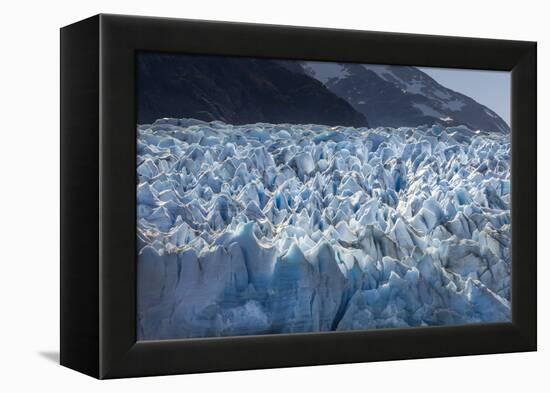 Glacier Grey. Torres Del Paine NP. Chile. UNESCO Biosphere-Tom Norring-Framed Premier Image Canvas