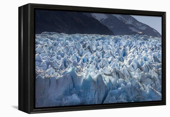 Glacier Grey. Torres Del Paine NP. Chile. UNESCO Biosphere-Tom Norring-Framed Premier Image Canvas