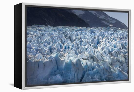 Glacier Grey. Torres Del Paine NP. Chile. UNESCO Biosphere-Tom Norring-Framed Premier Image Canvas