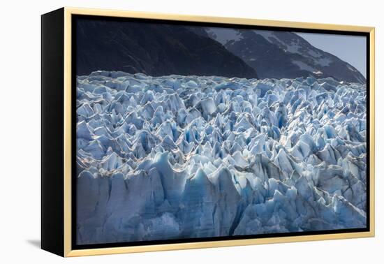 Glacier Grey. Torres Del Paine NP. Chile. UNESCO Biosphere-Tom Norring-Framed Premier Image Canvas