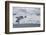 Glacier hanging on the rocks of Coronation Island, South Orkney Islands, Antarctica, Polar Regions-Michael Runkel-Framed Photographic Print