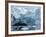 Glacier Ice, Spitsbergen Island, Svalbard, Norway-Paul Souders-Framed Photographic Print