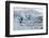 Glacier Lagoon, Iceland-Rick Daley-Framed Photographic Print