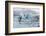 Glacier Lagoon, Iceland-Rick Daley-Framed Photographic Print