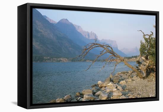 Glacier National Park 13-Gordon Semmens-Framed Premier Image Canvas