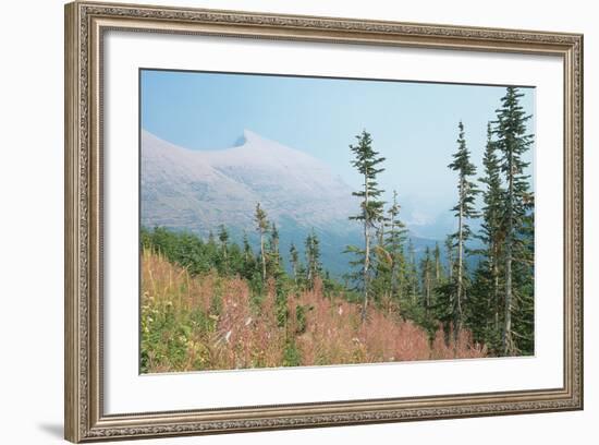 Glacier National Park 17-Gordon Semmens-Framed Photographic Print