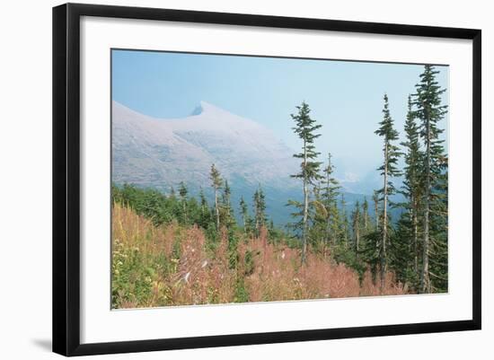 Glacier National Park 17-Gordon Semmens-Framed Photographic Print