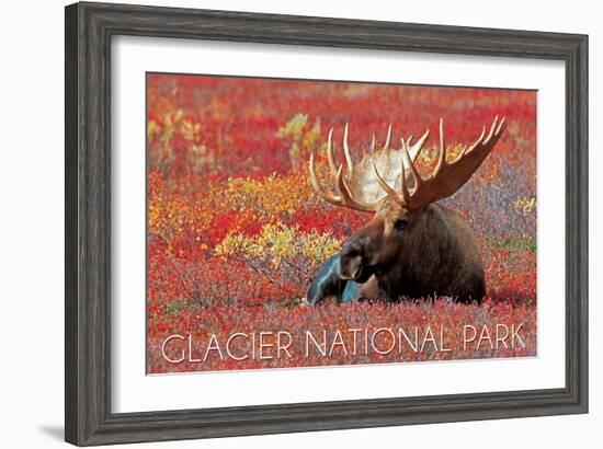 Glacier National Park - Bull Moose and Red Flowers-Lantern Press-Framed Art Print