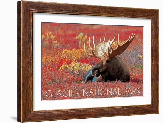 Glacier National Park - Bull Moose and Red Flowers-Lantern Press-Framed Art Print