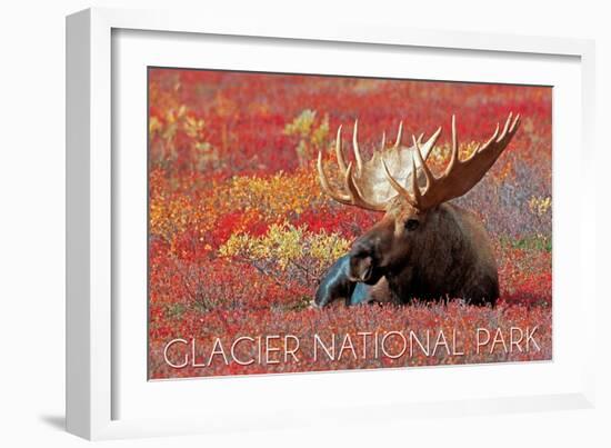 Glacier National Park - Bull Moose and Red Flowers-Lantern Press-Framed Art Print