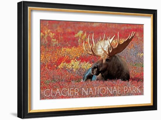 Glacier National Park - Bull Moose and Red Flowers-Lantern Press-Framed Art Print