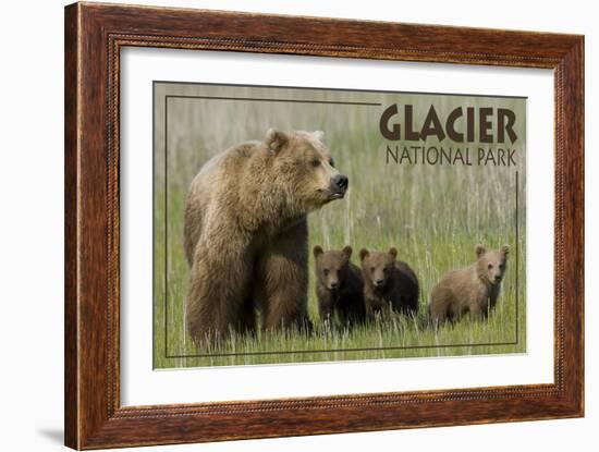 Glacier National Park - Grizzly Bear and Cubs-Lantern Press-Framed Art Print