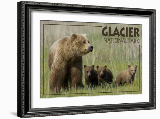 Glacier National Park - Grizzly Bear and Cubs-Lantern Press-Framed Art Print