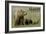 Glacier National Park - Grizzly Bear and Cubs-Lantern Press-Framed Art Print