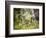 Glacier National Park, Montana. Coyote-Yitzi Kessock-Framed Photographic Print