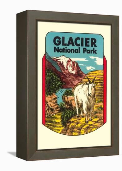 Glacier National Park, Rocky Mountain Goat, Montana-null-Framed Stretched Canvas