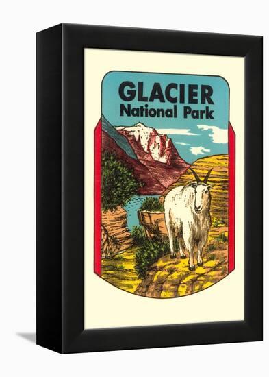 Glacier National Park, Rocky Mountain Goat, Montana-null-Framed Stretched Canvas