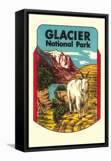 Glacier National Park, Rocky Mountain Goat, Montana-null-Framed Stretched Canvas