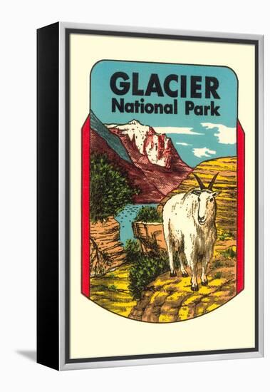 Glacier National Park, Rocky Mountain Goat, Montana-null-Framed Stretched Canvas