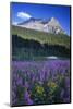 Glacier National Park-Art Wolfe-Mounted Photographic Print