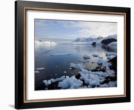 Glacier, Paradise Bay, Antarctic Peninsula, Antarctica, Polar Regions-Thorsten Milse-Framed Photographic Print