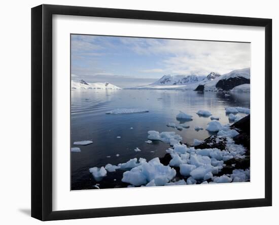 Glacier, Paradise Bay, Antarctic Peninsula, Antarctica, Polar Regions-Thorsten Milse-Framed Photographic Print