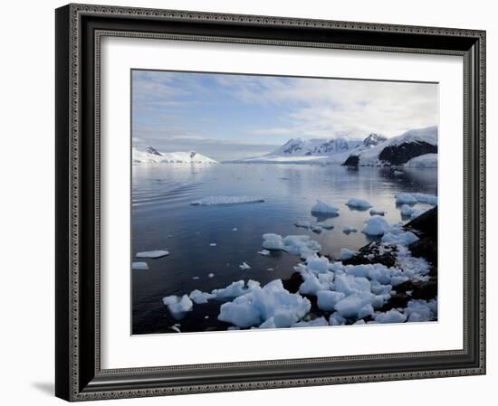 Glacier, Paradise Bay, Antarctic Peninsula, Antarctica, Polar Regions-Thorsten Milse-Framed Photographic Print