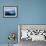 Glacier, Paradise Bay, Antarctic Peninsula, Antarctica, Polar Regions-Thorsten Milse-Framed Photographic Print displayed on a wall