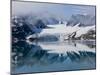 Glacier, Spitzbergen, Svalbard, Norway, Arctic, Scandinavia, Europe-Thorsten Milse-Mounted Photographic Print