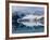 Glacier, Spitzbergen, Svalbard, Norway, Arctic, Scandinavia, Europe-Thorsten Milse-Framed Photographic Print