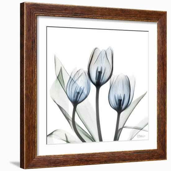 Glacier Tulips 2-Albert Koetsier-Framed Art Print