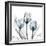 Glacier Tulips 2-Albert Koetsier-Framed Art Print