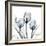 Glacier Tulips 2-Albert Koetsier-Framed Art Print