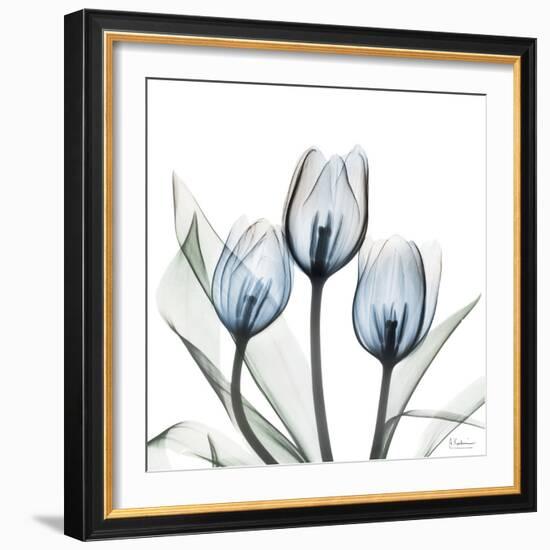 Glacier Tulips 2-Albert Koetsier-Framed Art Print