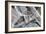 Glacier VI-Albena Hristova-Framed Art Print