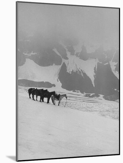 Glaciers and Icefields Seen along Columbia Icefield Highway between Banff and Jasper-Andreas Feininger-Mounted Photographic Print