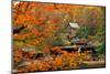 Glade Creek Grist Mill-Ron Watts-Mounted Photographic Print