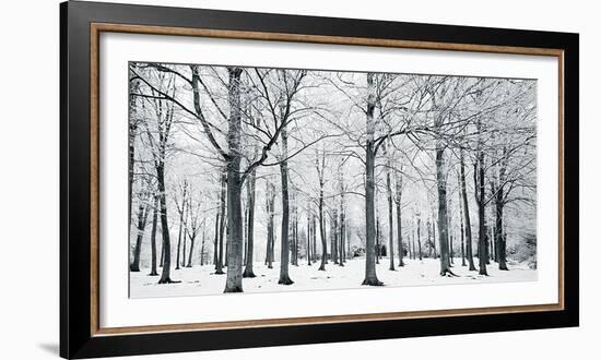 Glade In Winter-Joseph Eta-Framed Giclee Print