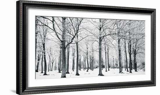 Glade In Winter-Joseph Eta-Framed Giclee Print