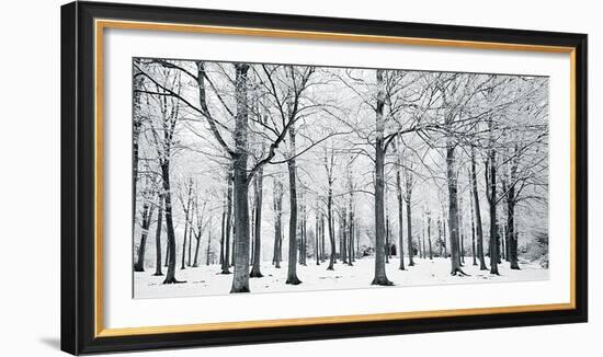 Glade In Winter-Joseph Eta-Framed Giclee Print