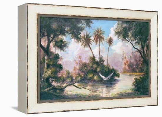 Glades Hammock-Art Fronckowiak-Framed Stretched Canvas