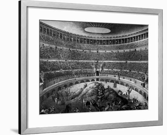Gladiators Fighting Against Various Animals in Colosseum-null-Framed Photographic Print