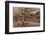 Gladiators in the Arena-Edmund Evans-Framed Photographic Print