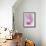 Gladiola Blossom II-Kathy Mahan-Framed Photographic Print displayed on a wall