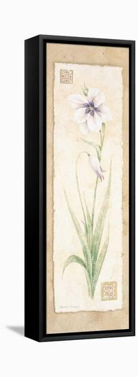 Gladiola-Pamela Gladding-Framed Stretched Canvas